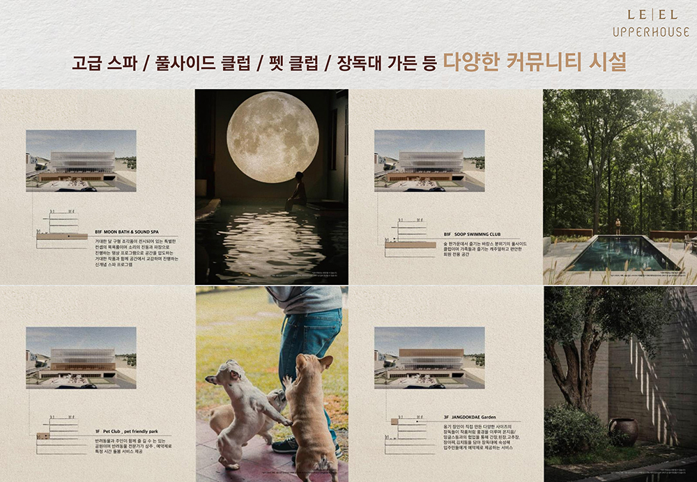 이미지명