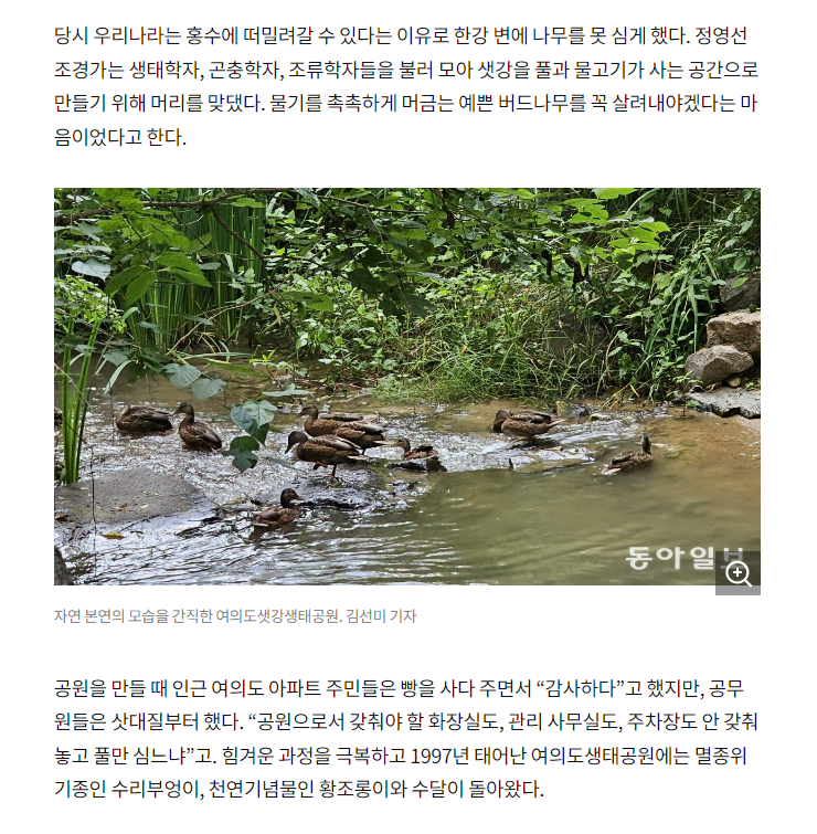 이미지명